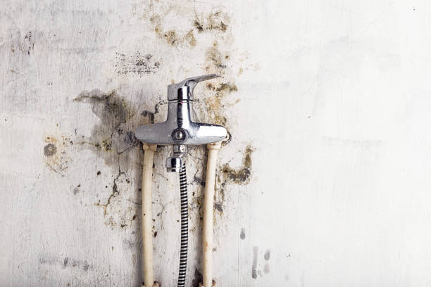 Best Health and Safety Mold Remediation in Sullivan, MO