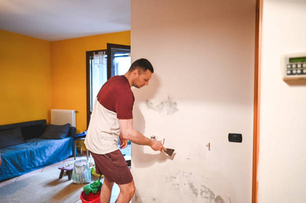 Best Basement Mold Remediation in Sullivan, MO